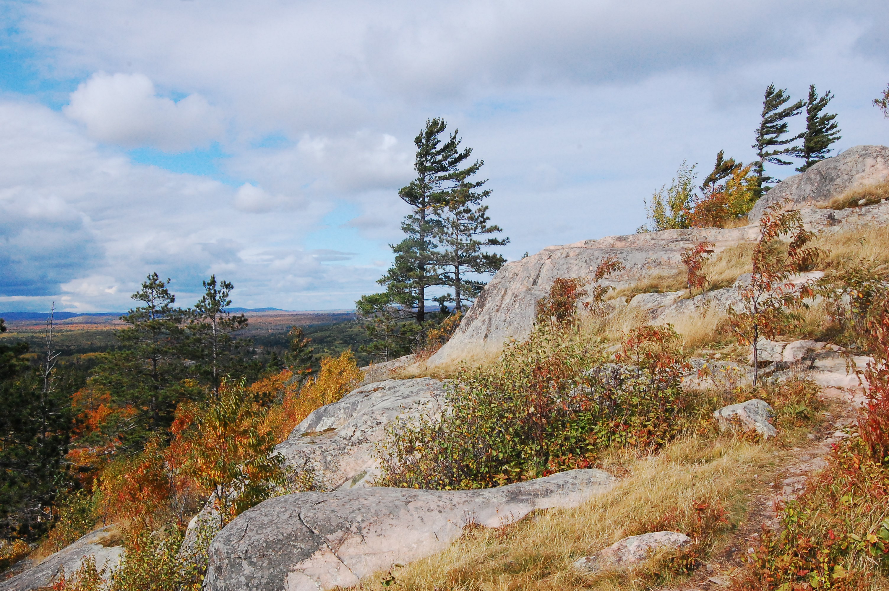 Sugarloaf